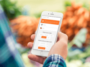 Delivery app on mobile phone